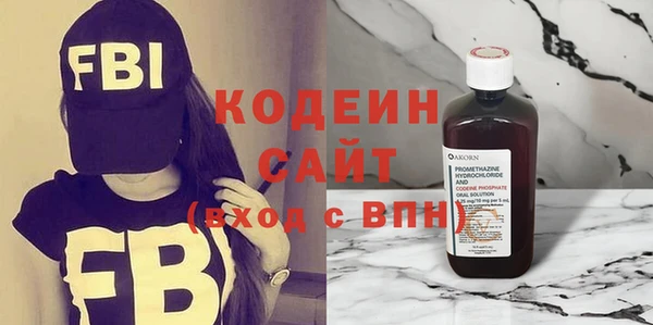 хмурый Арсеньев