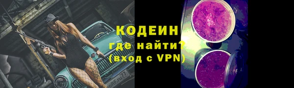 хмурый Арсеньев