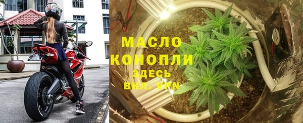 хмурый Арсеньев