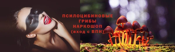 бошки Армянск
