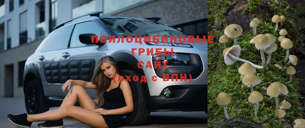 хмурый Арсеньев