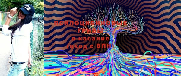 бошки Армянск