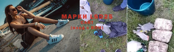 хмурый Арсеньев