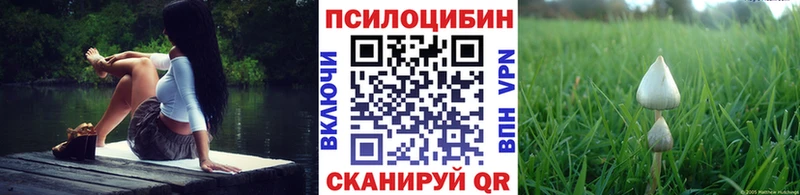 Галлюциногенные грибы GOLDEN TEACHER  наркошоп  Ржев 