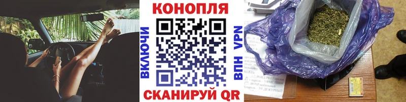 Каннабис планчик  магазин  наркотиков  Ржев 